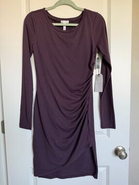 Leith Long-Sleeve Ruched Bodycon Dress in Plum